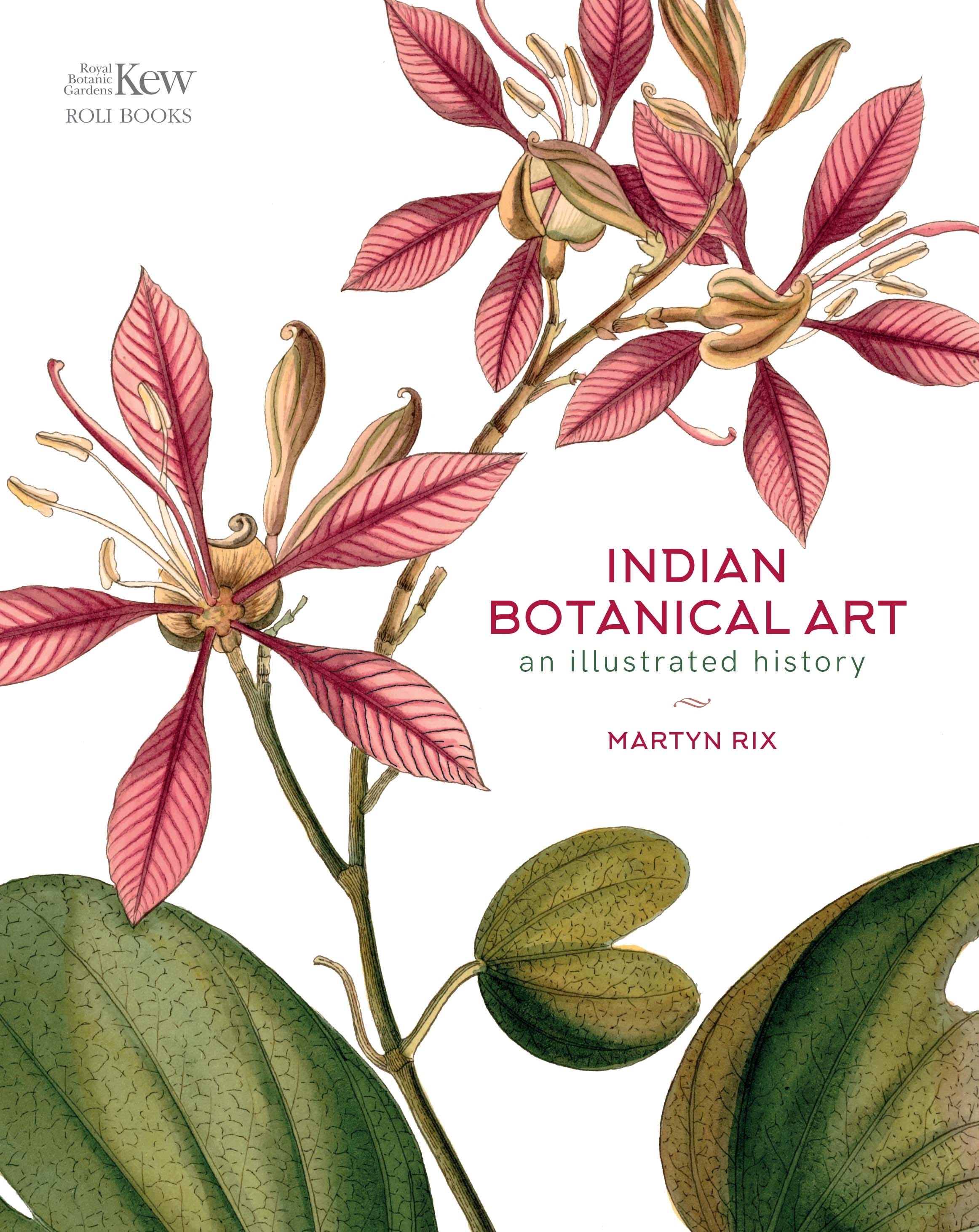 Indian Botanical Art an illustrated history