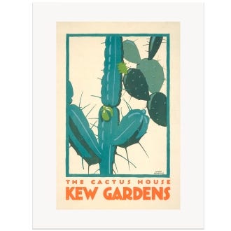 The Cactus House TFL A3 Print