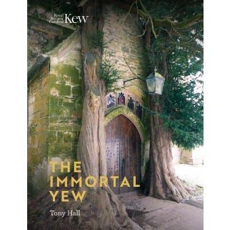 The Immortal Yew - cover