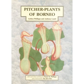Pitcher-Plants of Borneo