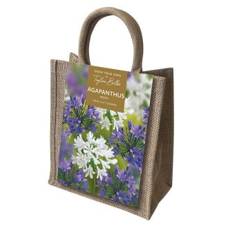 Agapanthus Roots Jute Gift Bag
