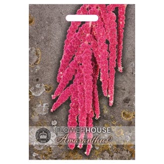 Kew Amaranthus Seeds