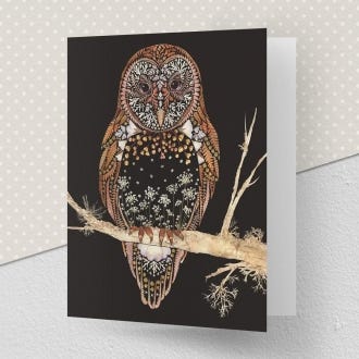Barn Owl Greeting Card