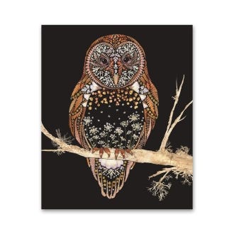 Barn Owl Greeting Card