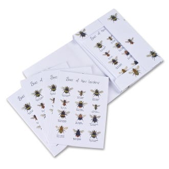 Bees of kew notecard set
