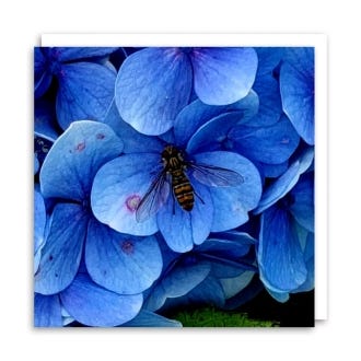 Blue Hydrangea with Bee Chrissie Greeting Card