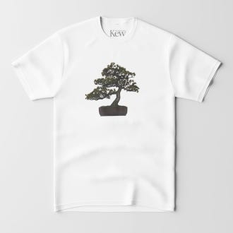 Kew Bonsai T-shirt, assorted sizes