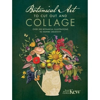 Botanical Art to Cut Out and Collage - cover