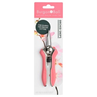 Houseplant Orchid Snips