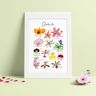 Clara Orchids A3 Print