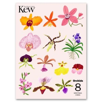 Clara Orchid Greeting Cards, Pack of 8