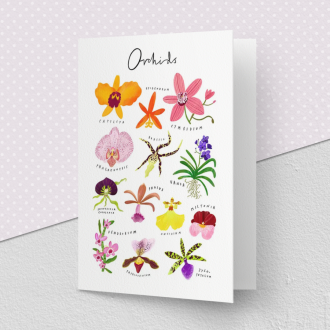 Clara Orchids Greeting Card