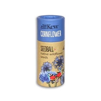 Kew Wildflowers Seedball Tube, Cornflower