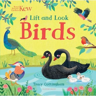 Lift and Look Birds