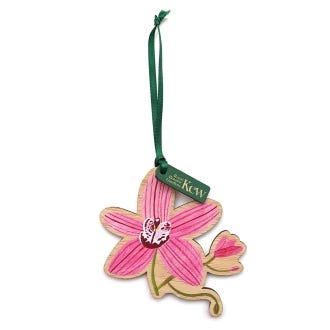 Kew Cymbidium Orchid Bamboo Decoration