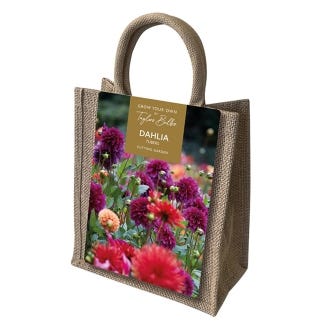 Dahlia Tubers Jute Gift Bag