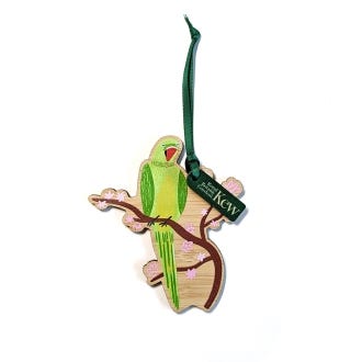 Kew Clara Bamboo Decoration, Parakeet