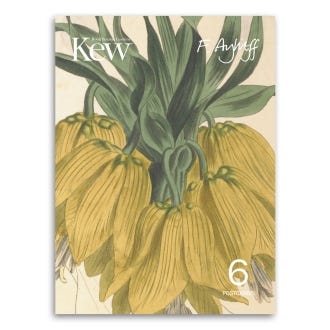 Felicity Aylieff Kew Archive Inspo Concertina Postcards