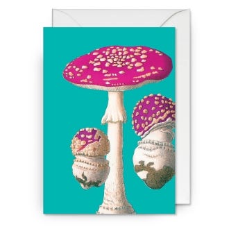 Kew Fly Agaric Greeting Card
