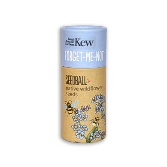Kew Wildflowers Seedball Tube, Forget-me-not