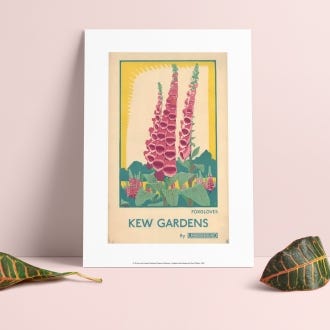 Foxgloves at Kew Gardens TFL A4 Print