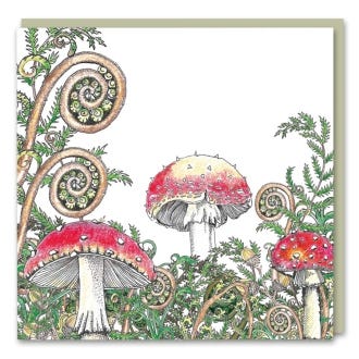 Doodle Beautiful Toadstool Card