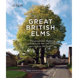Great British Elms