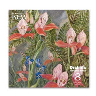 Marianne North Orchid Greeting Cards, Pack of 8