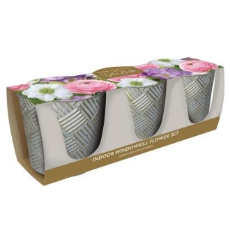 Grow Your Own, Indoor Windowsill Flower Set
