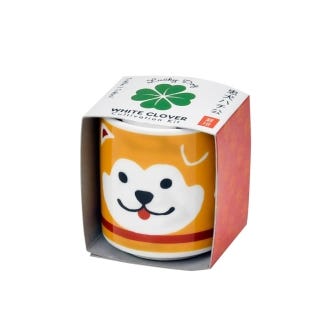 Lucky Dog Hachi White Clover Growing kit