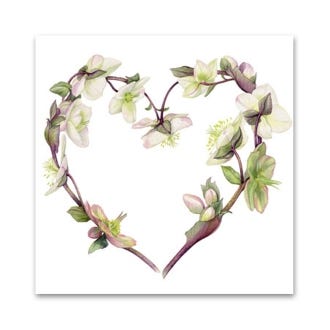 Billy Showell Hellebore Heart Greeting Card