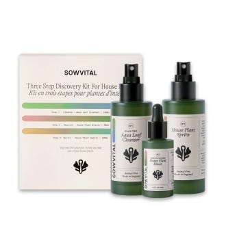 House Plant Discovery Set Trio from SowVital