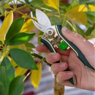 Houseplant Pruner from Burgon & Ball
