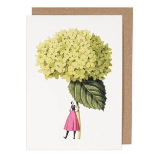 Hydrangea Annabelle Greeting Card