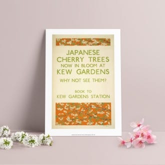 Japanese Cherry Trees Now in Bloom TFL A4 Print