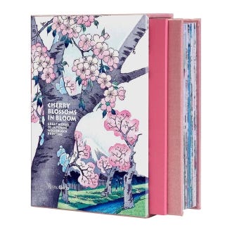 Cherry Blossoms in Bloom