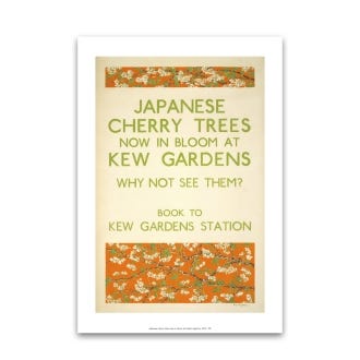 Japanese Cherry Trees Now in Bloom TFL A4 Print