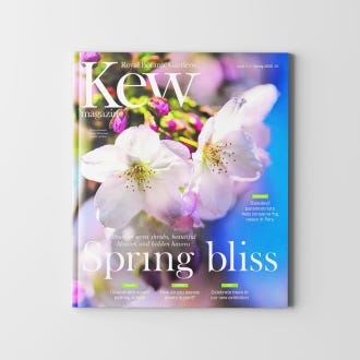 Spring 2025 cover. Spring Bliss.