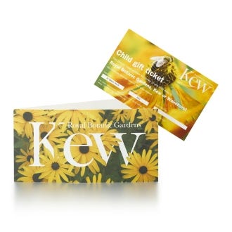 Child Gift Ticket - Valid for 1 year