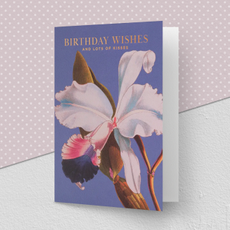 Kew Birthday Kisses Greeting Card