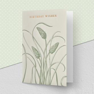 Kew Birthday Wishes Card