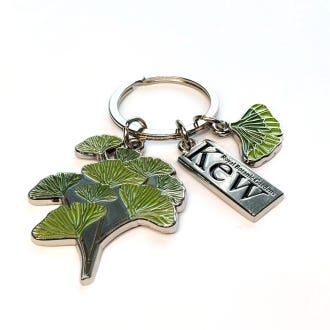 Kew Ginkgo Keyring