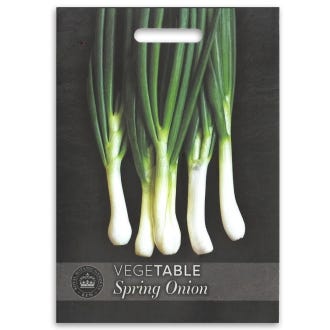 Kew Spring Onion 'Ishikura' Seeds