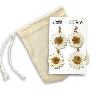 Kew x Nordic Flowers Earrings, Double Daisy