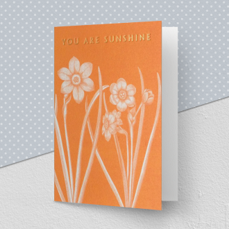 Kew 'You Are Sunshine' Greeting Card