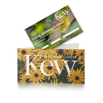 Young Person Gift Ticket - Valid for 1 year