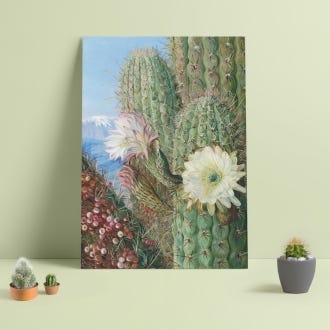 Marianne North A3 Print, Chilean Cactus in Flower
