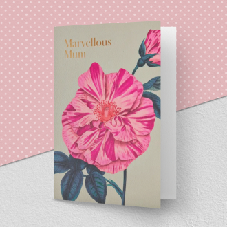 Marvellous Mum Greeting Card