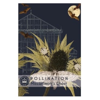 Kew Miss Willmott's Ghost Seeds
