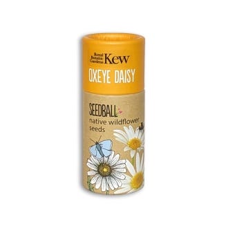 Kew Wildflowers Seedball Tube, Oxeye Daisy